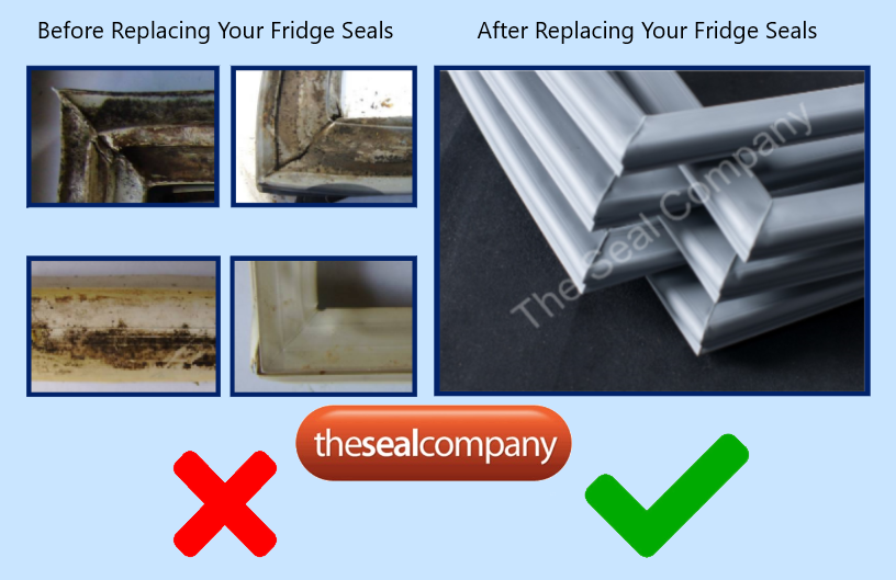 Before and After photo showing Dirty and Split Fridge Seals vs perfect clean replacement fridge seals