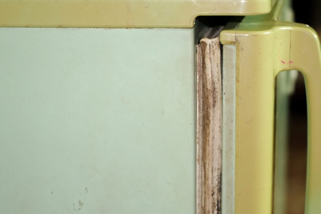 A close of up a dirty, mouldy seal on the door of an old, yellowed fridge