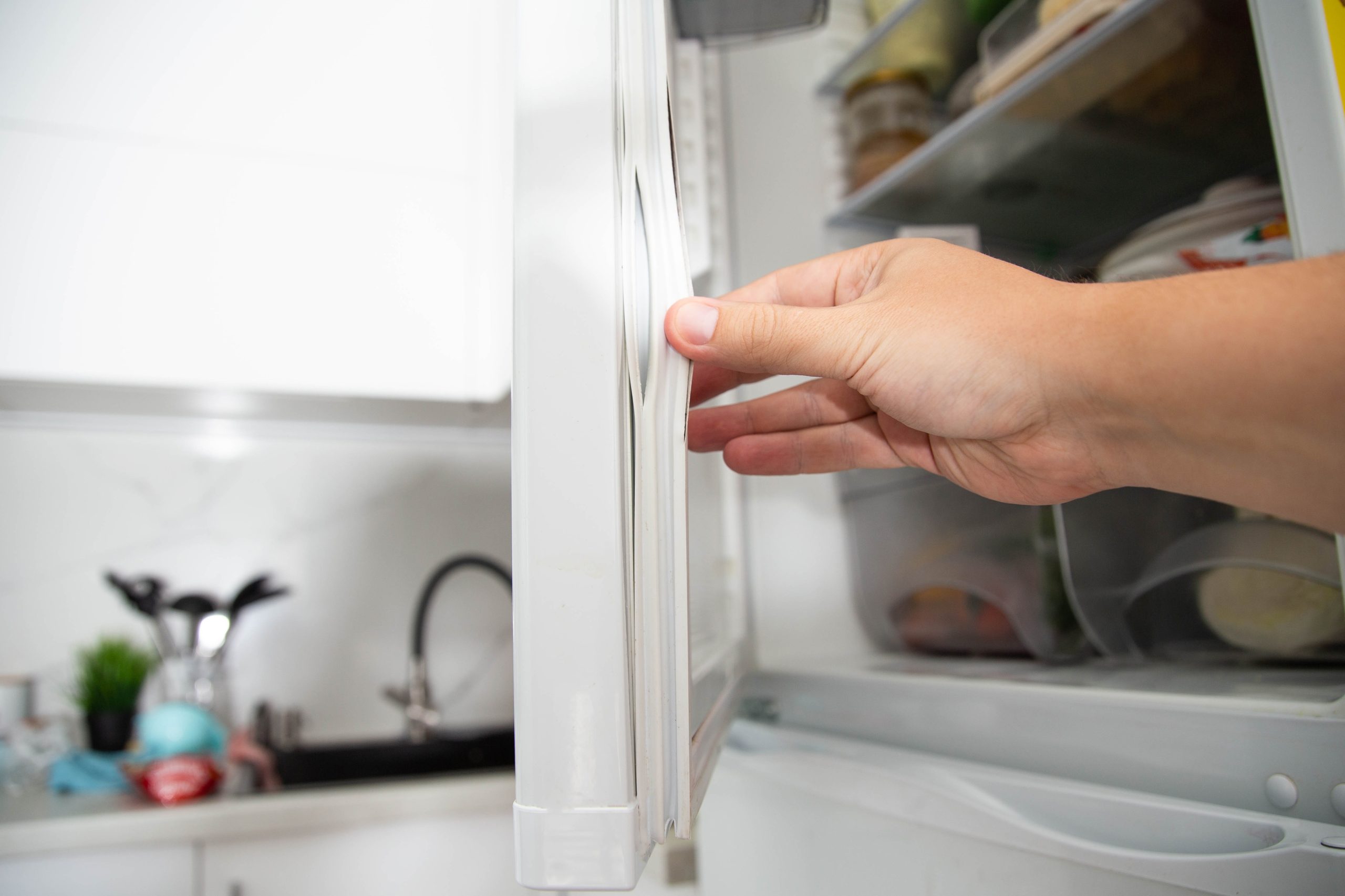 worn freezer door seal